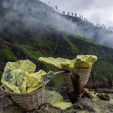 Ijen Basecamp & Homestay Ketapang  Exterior foto